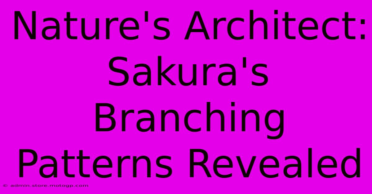 Nature's Architect: Sakura's Branching Patterns Revealed