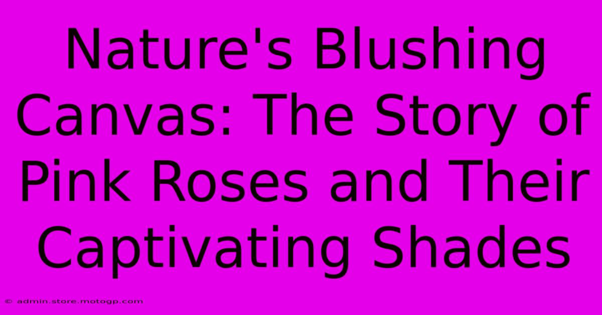 Nature's Blushing Canvas: The Story Of Pink Roses And Their Captivating Shades