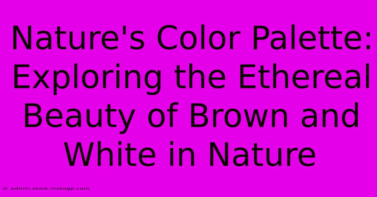 Nature's Color Palette: Exploring The Ethereal Beauty Of Brown And White In Nature