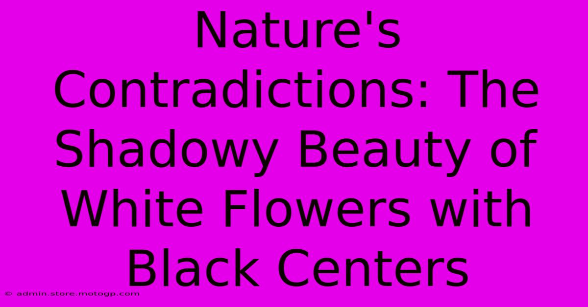 Nature's Contradictions: The Shadowy Beauty Of White Flowers With Black Centers