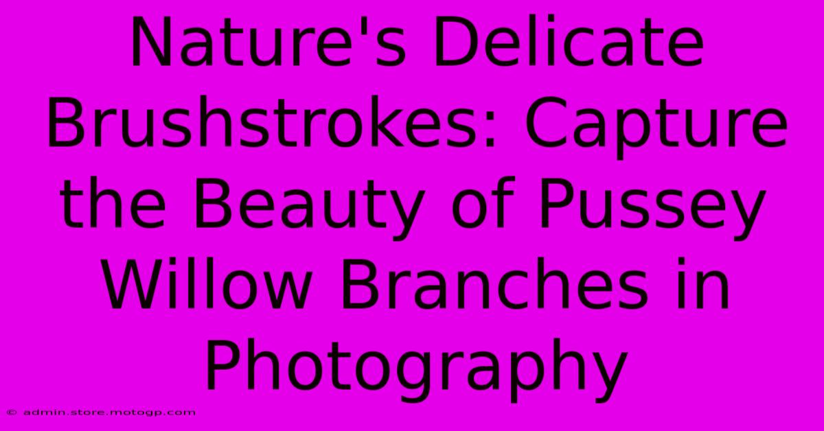 Nature's Delicate Brushstrokes: Capture The Beauty Of Pussey Willow Branches In Photography