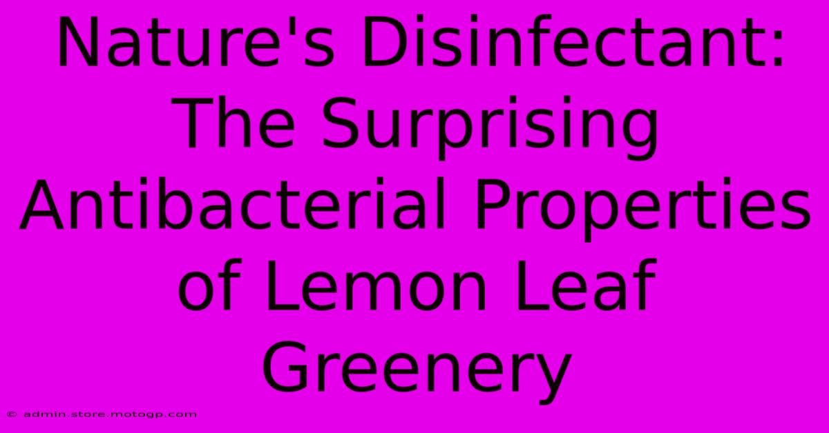 Nature's Disinfectant: The Surprising Antibacterial Properties Of Lemon Leaf Greenery