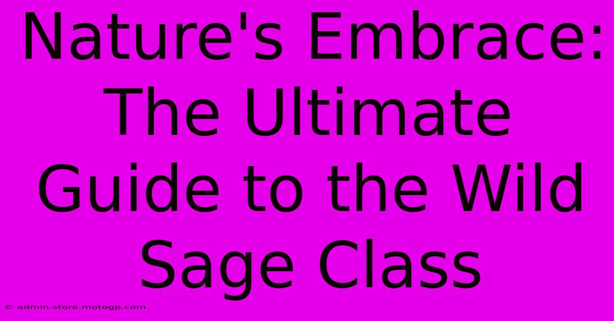 Nature's Embrace: The Ultimate Guide To The Wild Sage Class