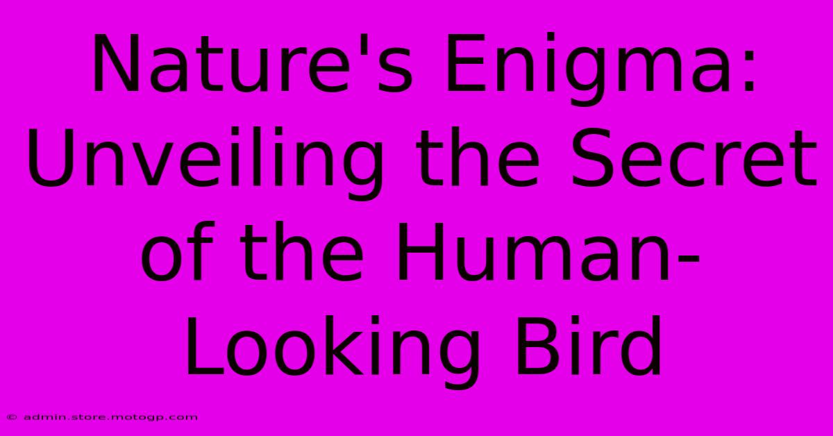 Nature's Enigma: Unveiling The Secret Of The Human-Looking Bird