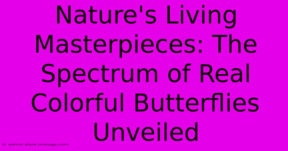 Nature's Living Masterpieces: The Spectrum Of Real Colorful Butterflies Unveiled