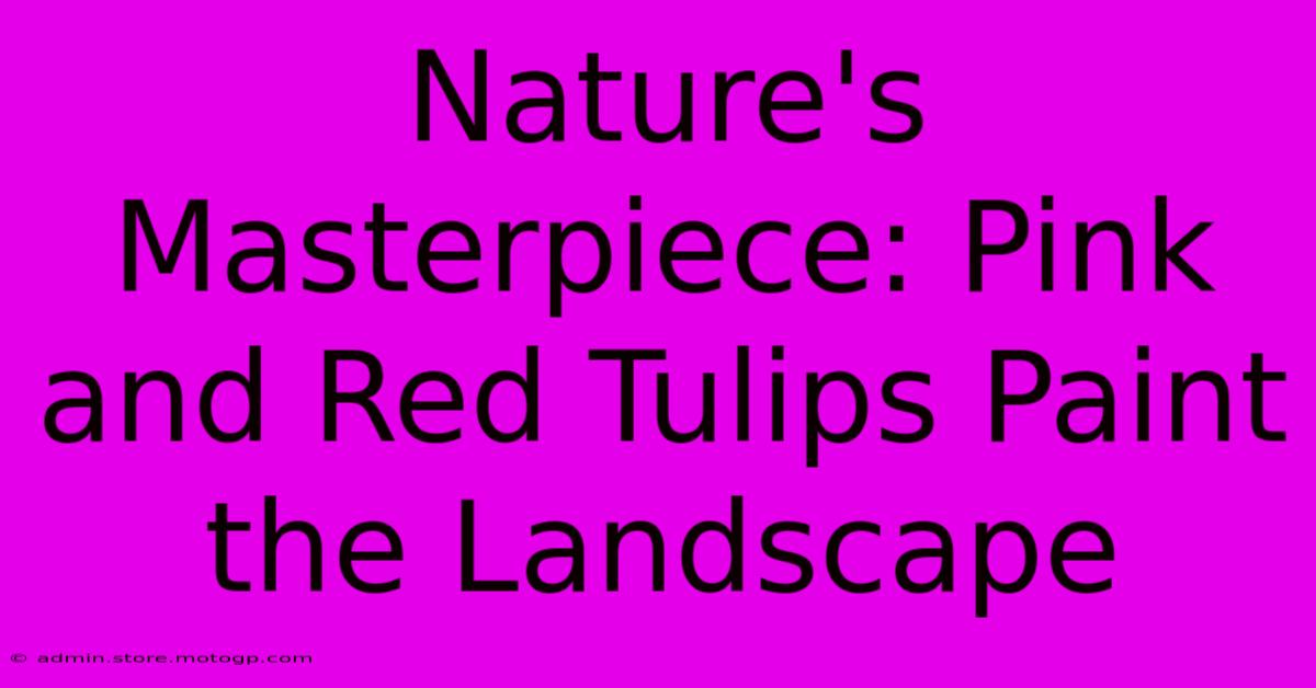 Nature's Masterpiece: Pink And Red Tulips Paint The Landscape