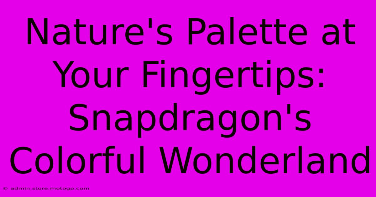 Nature's Palette At Your Fingertips: Snapdragon's Colorful Wonderland