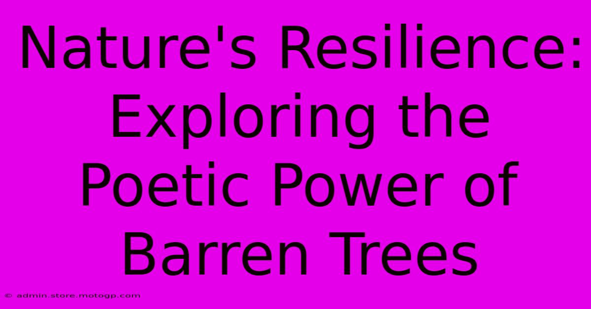 Nature's Resilience: Exploring The Poetic Power Of Barren Trees