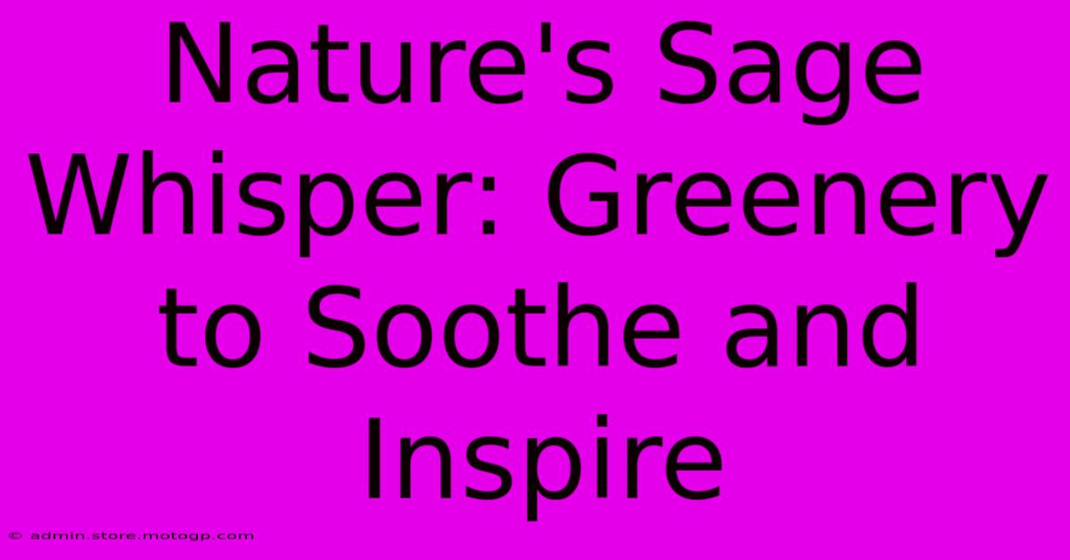 Nature's Sage Whisper: Greenery To Soothe And Inspire