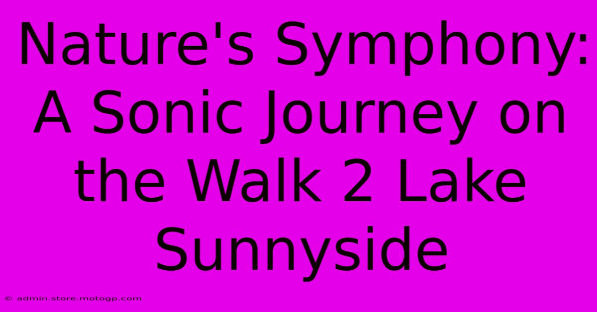 Nature's Symphony: A Sonic Journey On The Walk 2 Lake Sunnyside