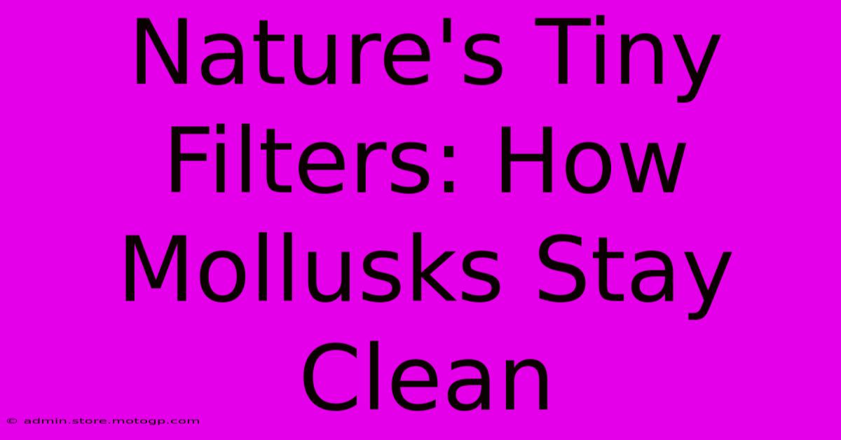 Nature's Tiny Filters: How Mollusks Stay Clean