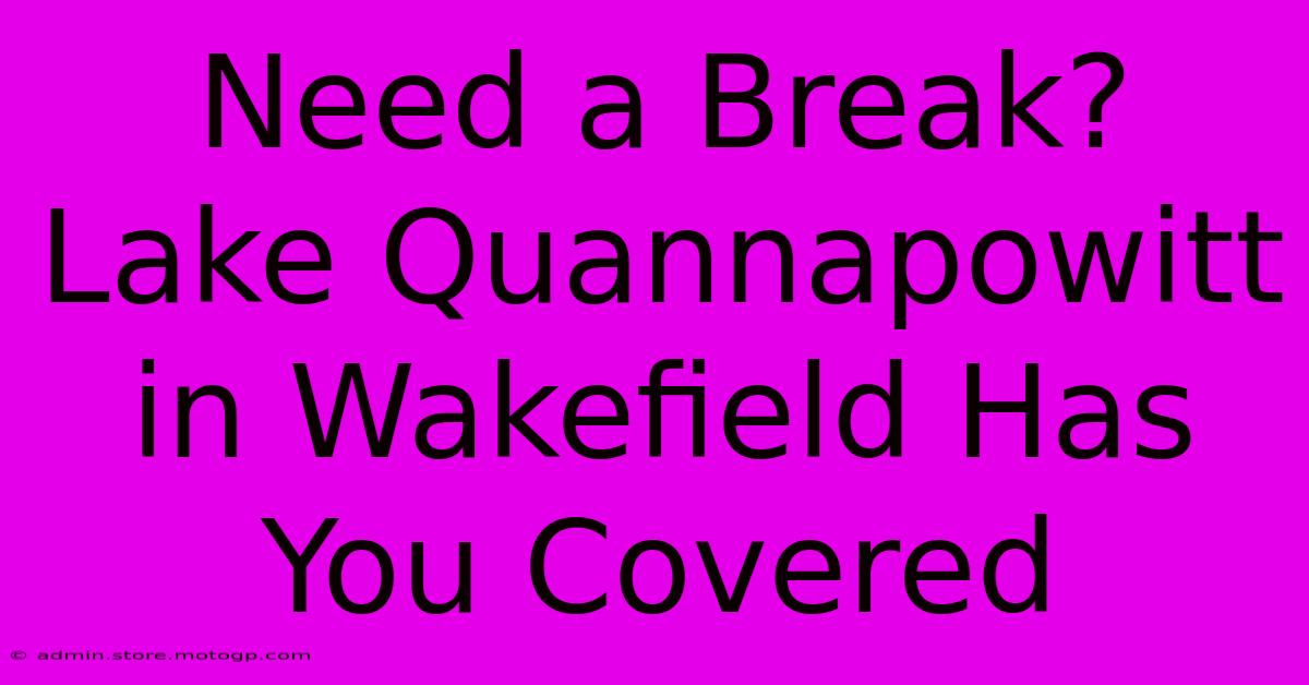 Need A Break? Lake Quannapowitt In Wakefield Has You Covered