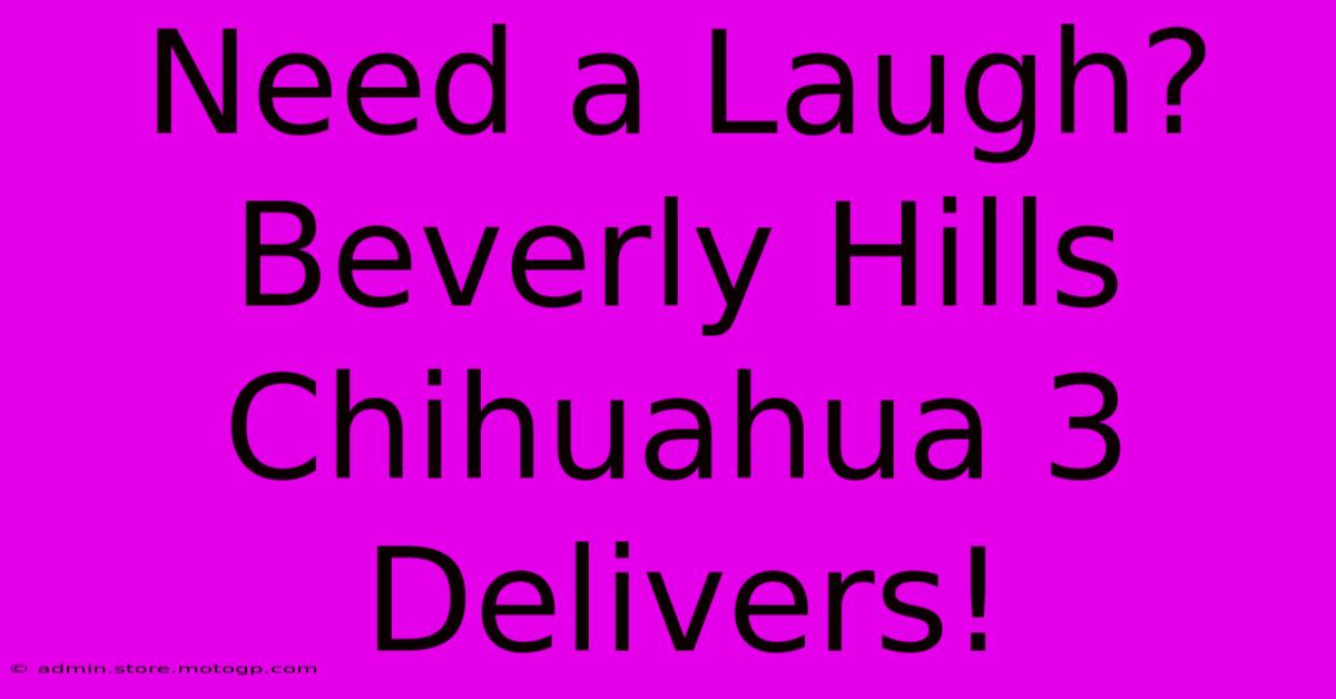 Need A Laugh? Beverly Hills Chihuahua 3 Delivers!