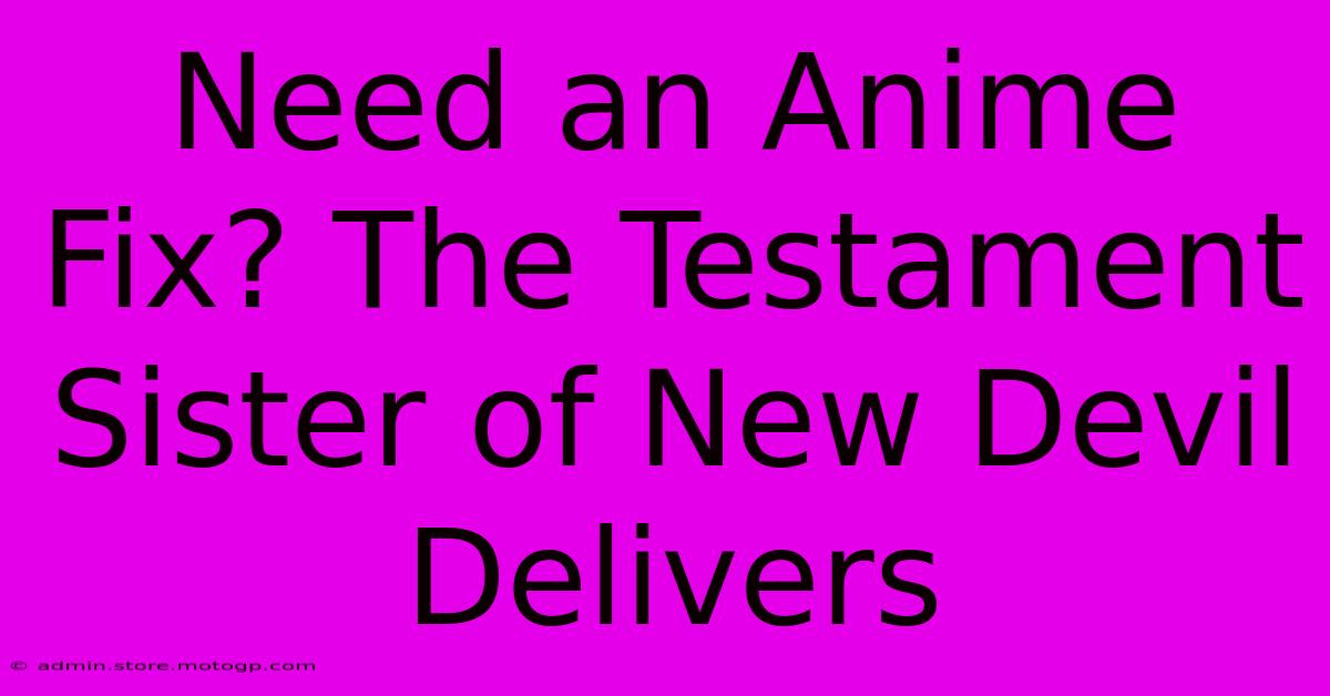 Need An Anime Fix? The Testament Sister Of New Devil Delivers