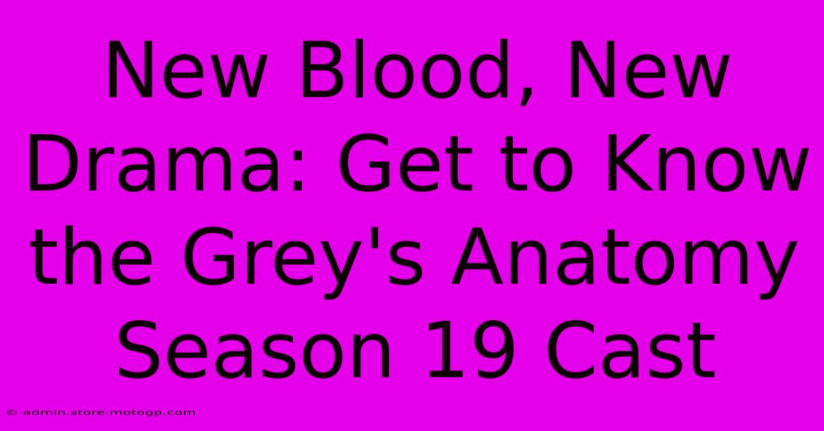 New Blood, New Drama: Get To Know The Grey's Anatomy Season 19 Cast