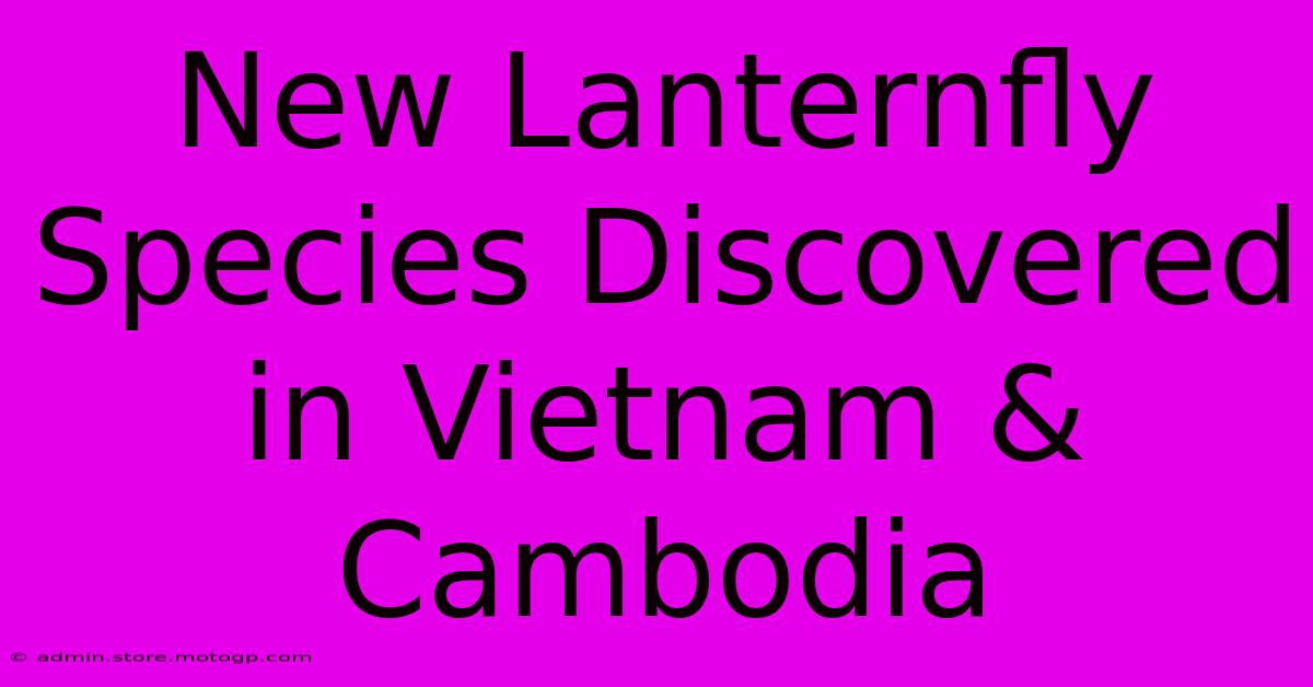 New Lanternfly Species Discovered In Vietnam & Cambodia