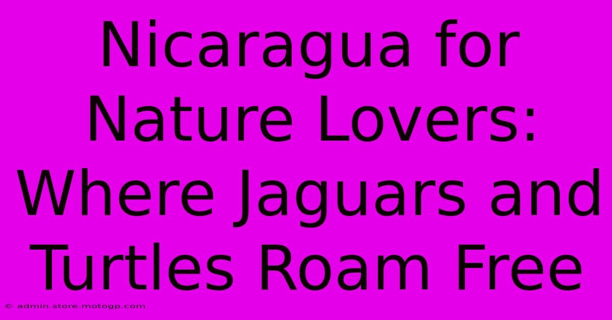 Nicaragua For Nature Lovers: Where Jaguars And Turtles Roam Free