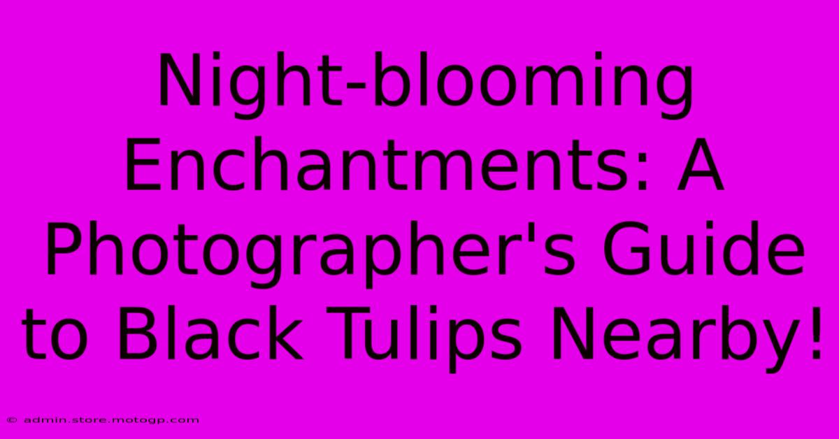 Night-blooming Enchantments: A Photographer's Guide To Black Tulips Nearby!