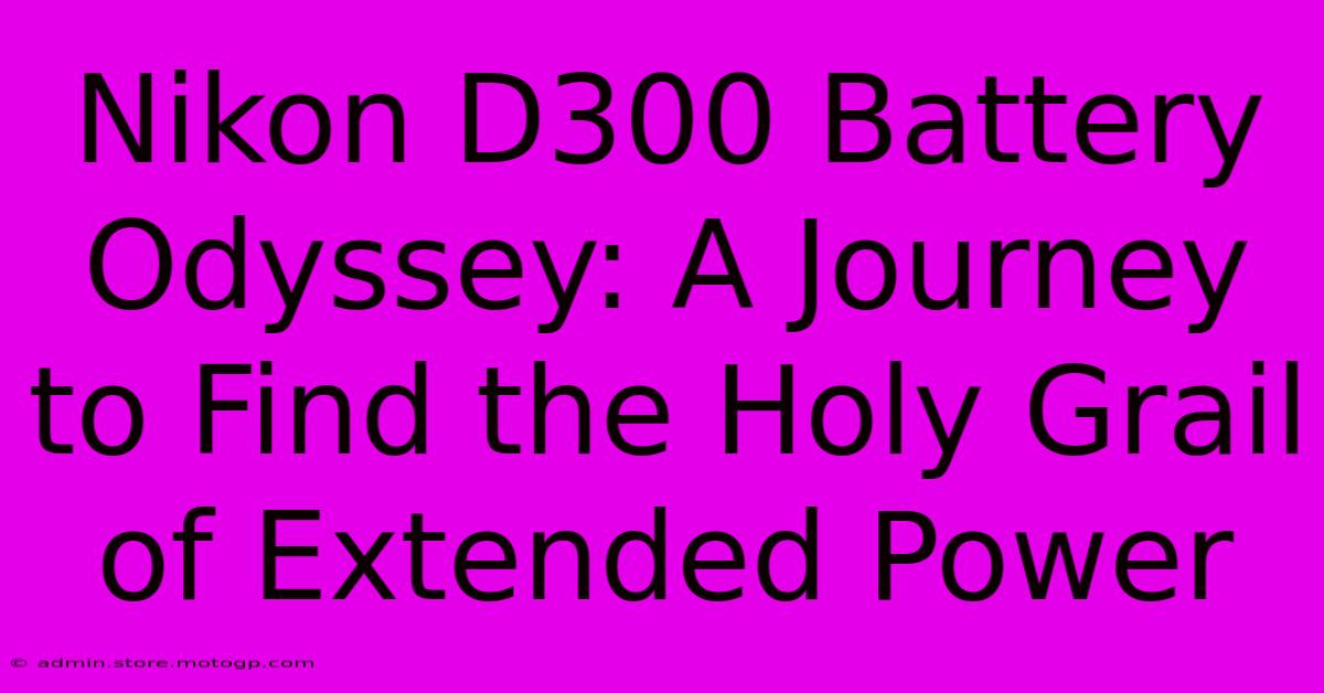 Nikon D300 Battery Odyssey: A Journey To Find The Holy Grail Of Extended Power