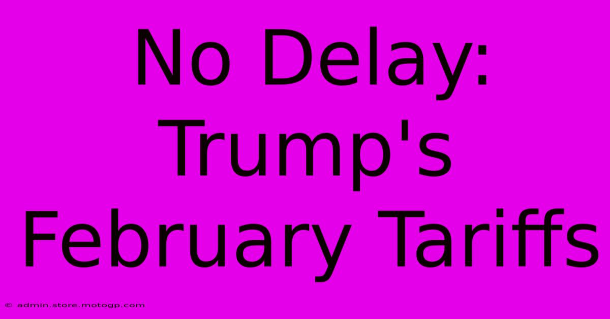 No Delay: Trump's February Tariffs