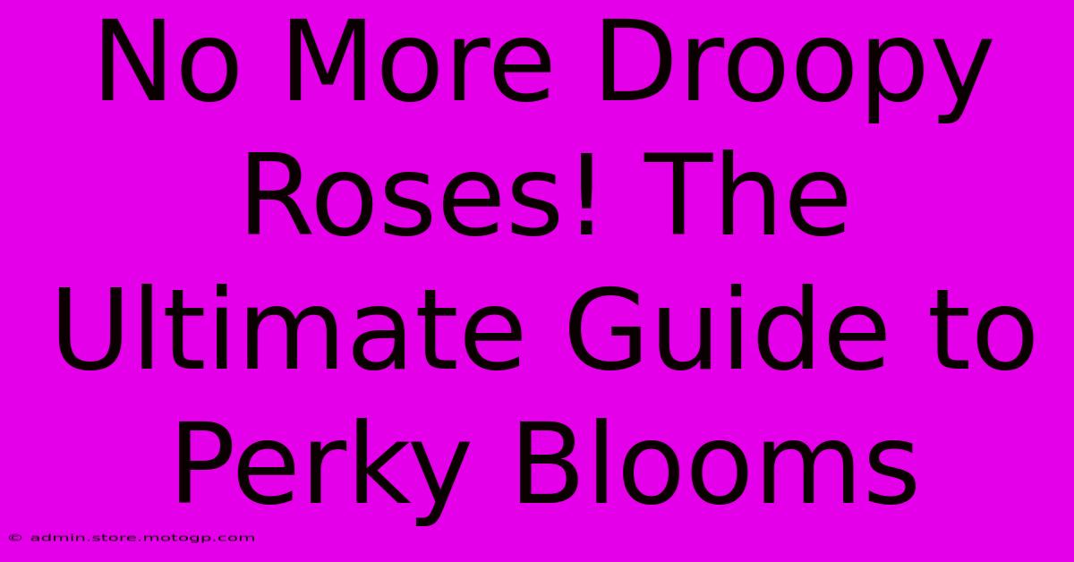 No More Droopy Roses! The Ultimate Guide To Perky Blooms