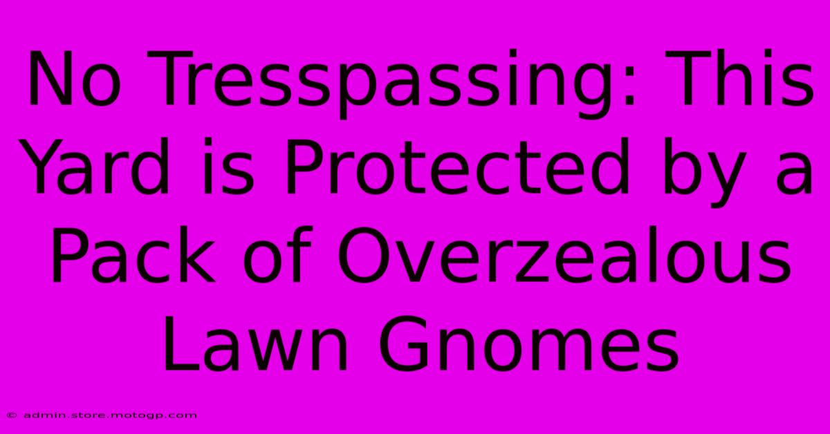 No Tresspassing: This Yard Is Protected By A Pack Of Overzealous Lawn Gnomes