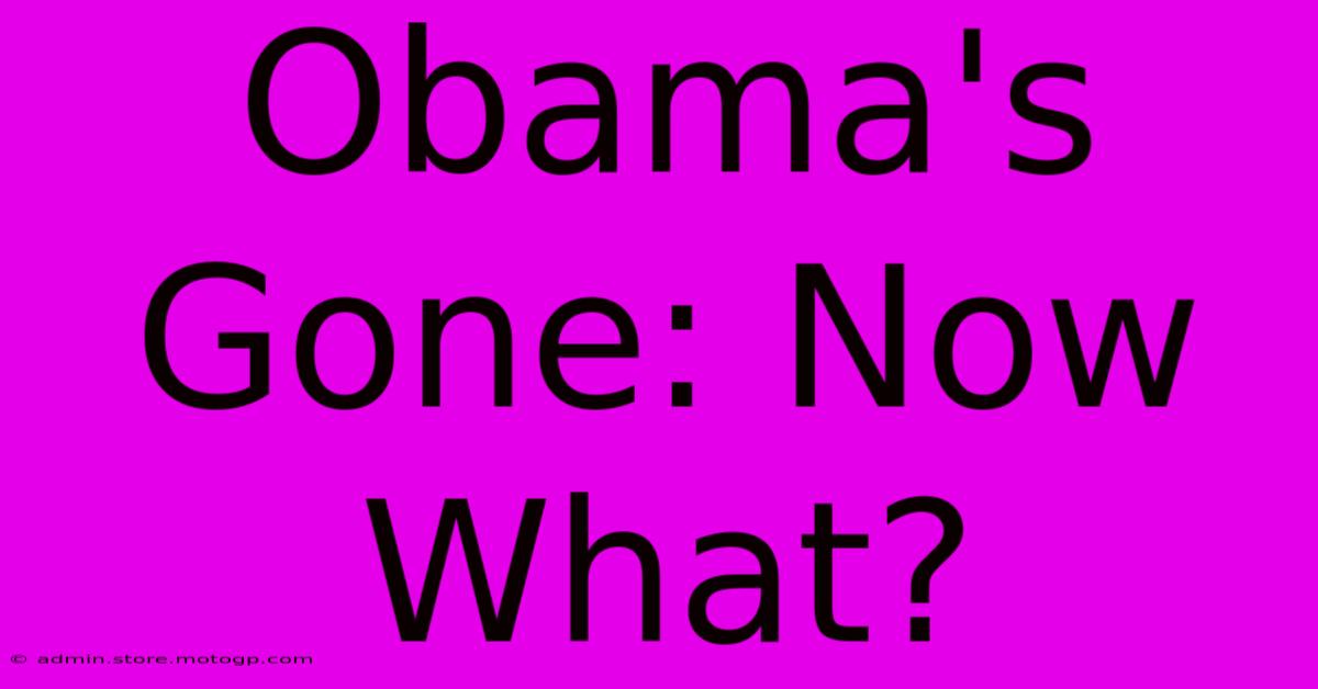 Obama's Gone: Now What?