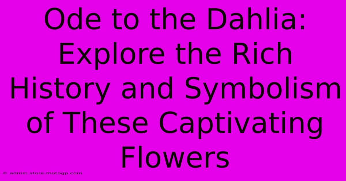 Ode To The Dahlia: Explore The Rich History And Symbolism Of These Captivating Flowers