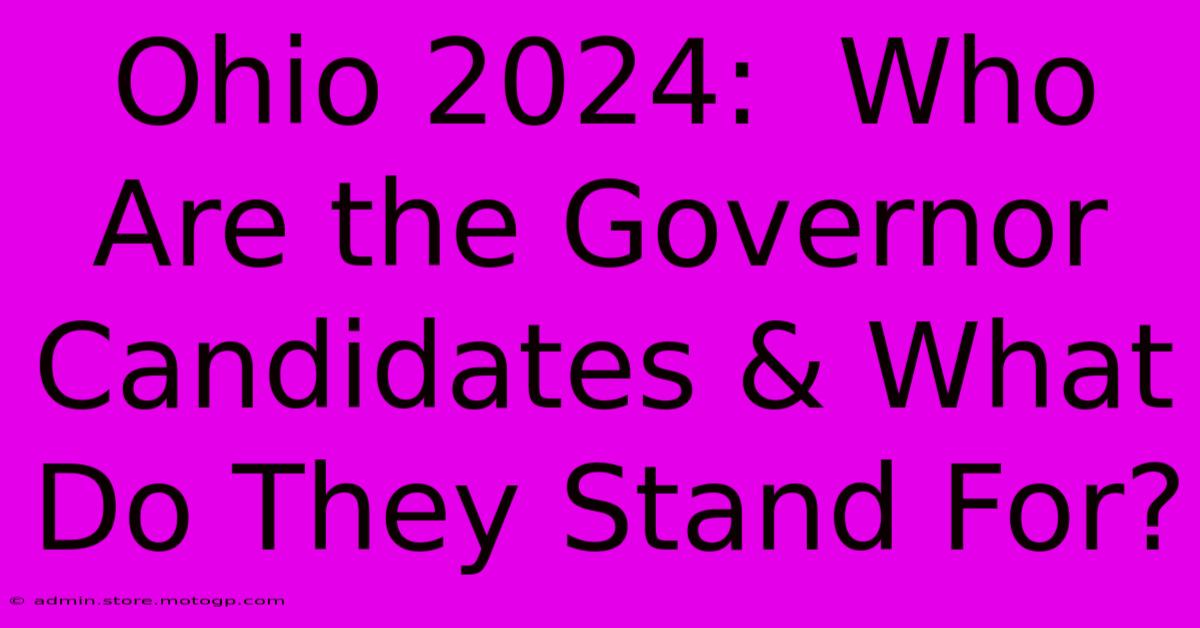 Ohio 2024:  Who Are The Governor Candidates & What Do They Stand For?