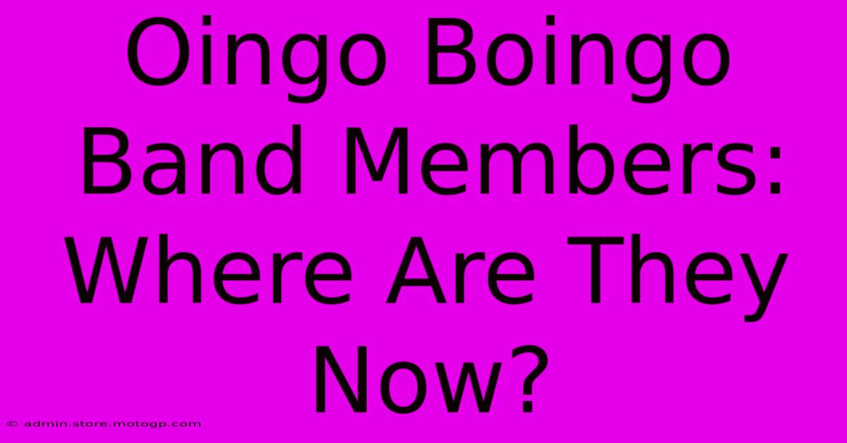 Oingo Boingo Band Members: Where Are They Now?