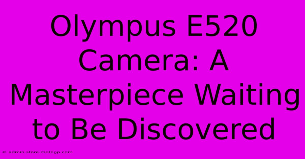 Olympus E520 Camera: A Masterpiece Waiting To Be Discovered