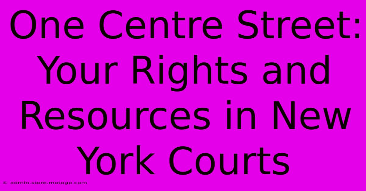 One Centre Street: Your Rights And Resources In New York Courts