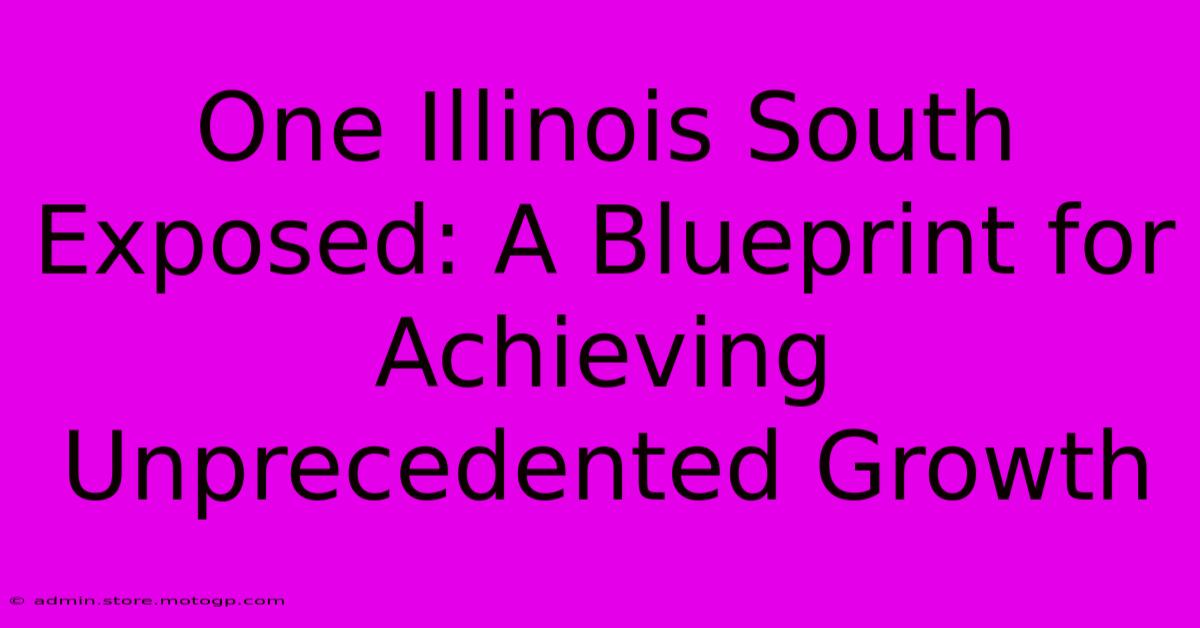 One Illinois South Exposed: A Blueprint For Achieving Unprecedented Growth