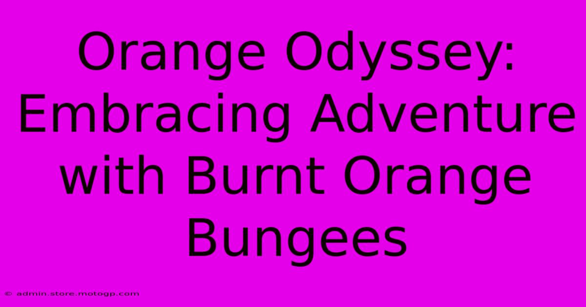 Orange Odyssey: Embracing Adventure With Burnt Orange Bungees