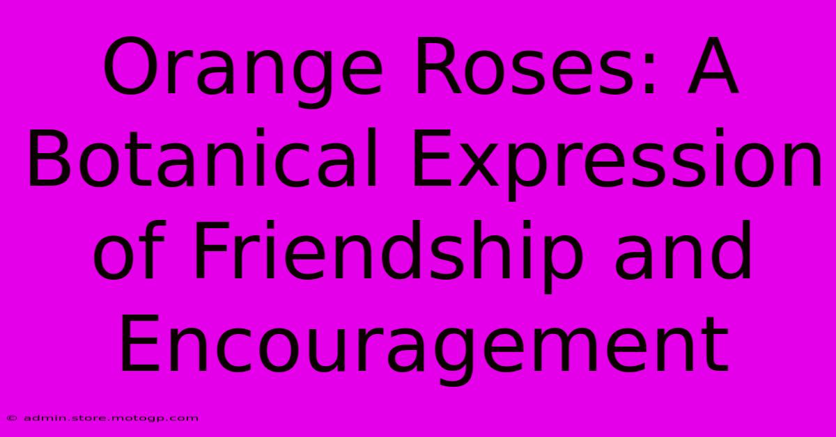 Orange Roses: A Botanical Expression Of Friendship And Encouragement