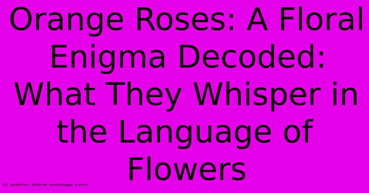 Orange Roses: A Floral Enigma Decoded: What They Whisper In The Language Of Flowers