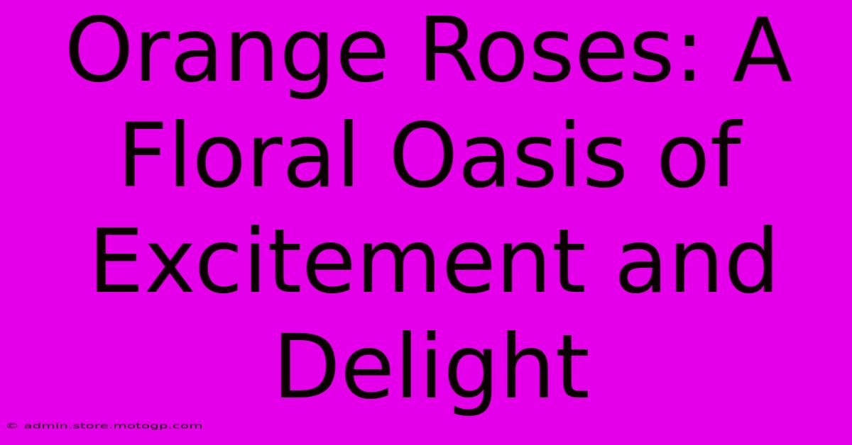 Orange Roses: A Floral Oasis Of Excitement And Delight