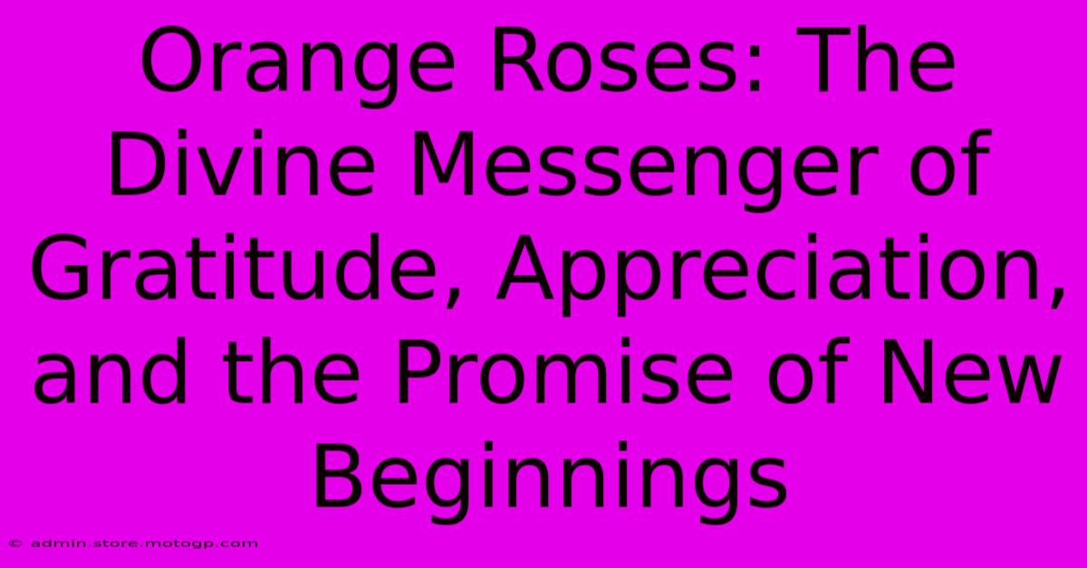 Orange Roses: The Divine Messenger Of Gratitude, Appreciation, And The Promise Of New Beginnings