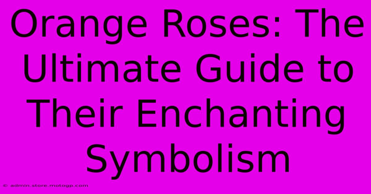 Orange Roses: The Ultimate Guide To Their Enchanting Symbolism