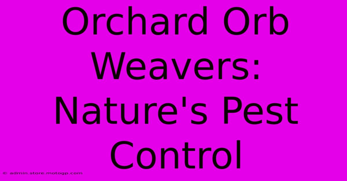 Orchard Orb Weavers: Nature's Pest Control