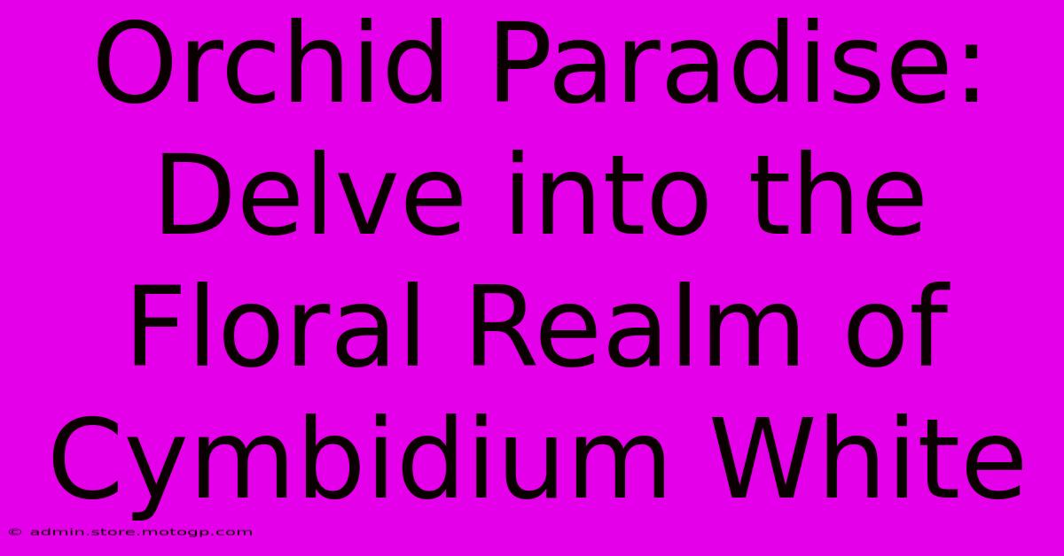 Orchid Paradise: Delve Into The Floral Realm Of Cymbidium White