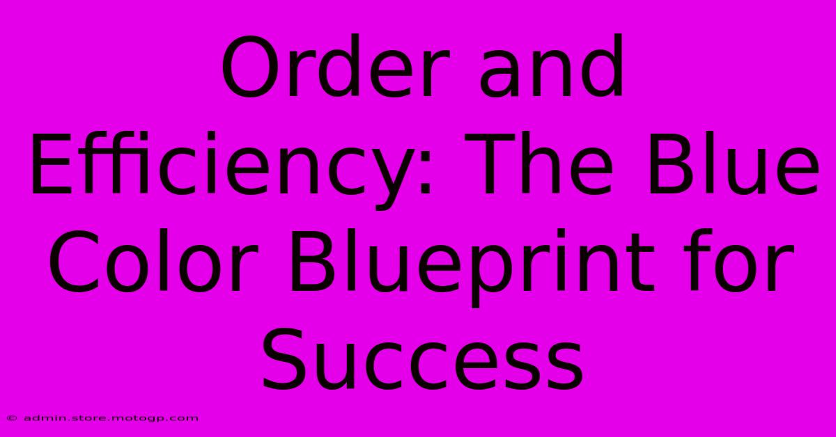 Order And Efficiency: The Blue Color Blueprint For Success