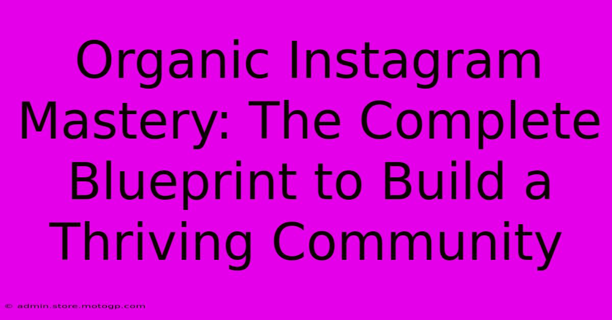 Organic Instagram Mastery: The Complete Blueprint To Build A Thriving Community