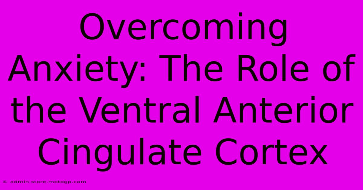 Overcoming Anxiety: The Role Of The Ventral Anterior Cingulate Cortex