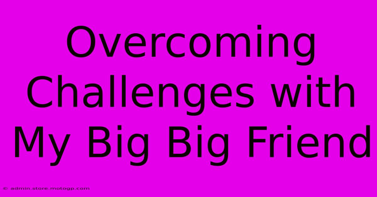 Overcoming Challenges With My Big Big Friend