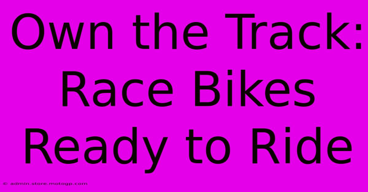 Own The Track: Race Bikes Ready To Ride