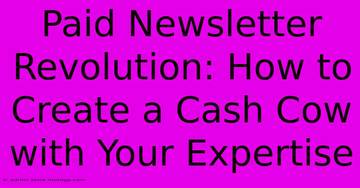 Paid Newsletter Revolution: How To Create A Cash Cow With Your Expertise