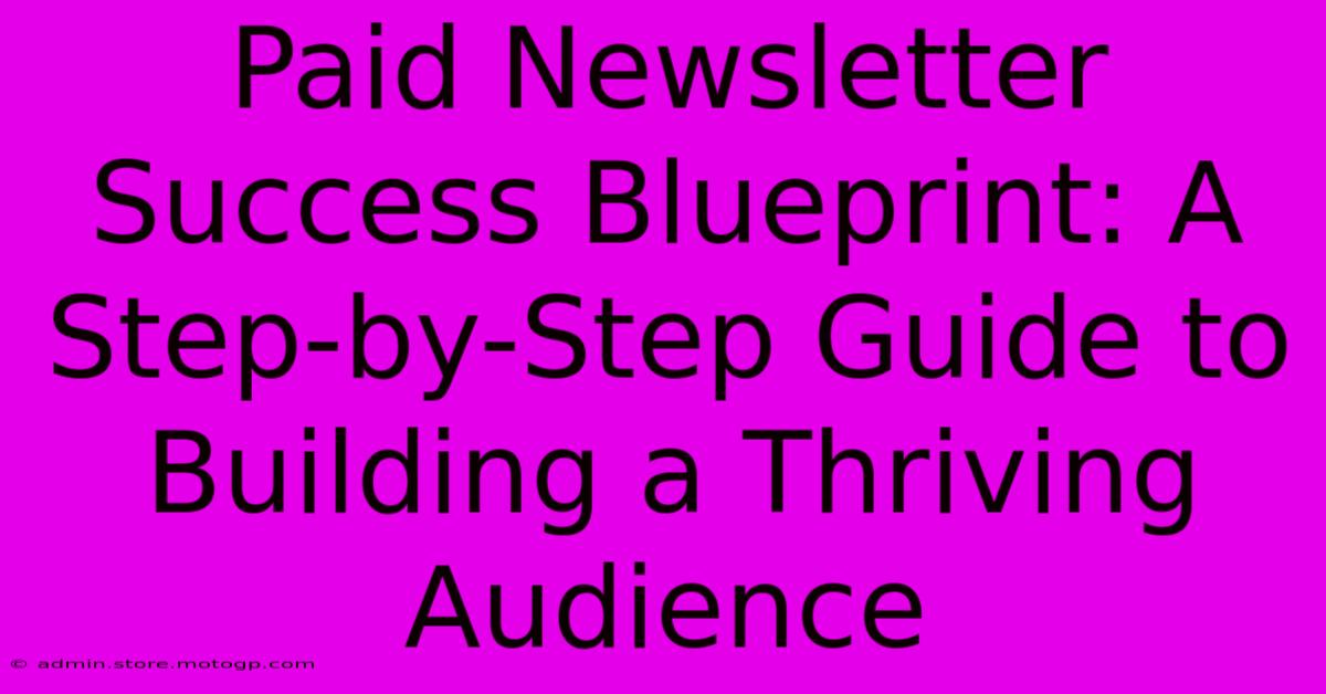 Paid Newsletter Success Blueprint: A Step-by-Step Guide To Building A Thriving Audience