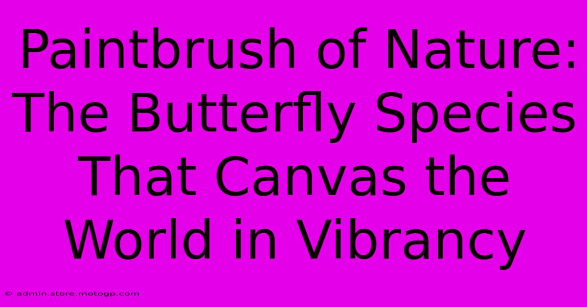 Paintbrush Of Nature: The Butterfly Species That Canvas The World In Vibrancy