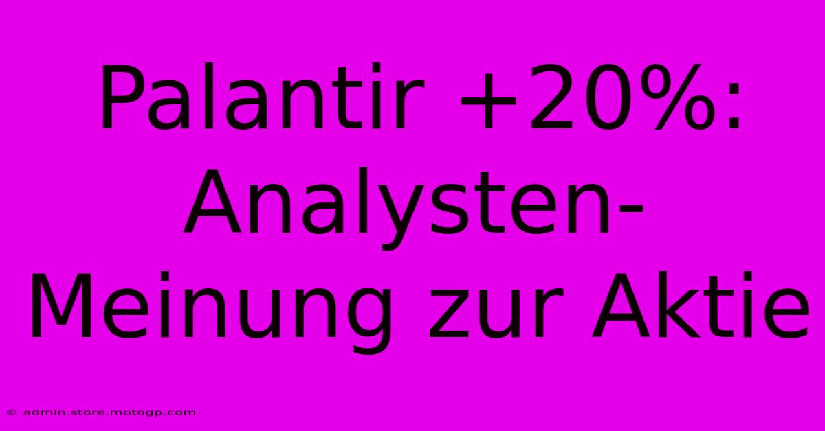 Palantir +20%:  Analysten-Meinung Zur Aktie